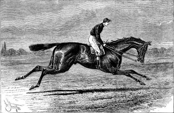 MERRY HAMPTON. THE WINNER OF THE DERBY, 1887.