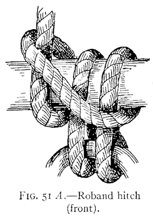 Illustration: FIG. 51 <i>A</i>.—Roband hitch (front).