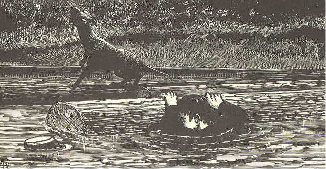 Boy in water clinging to log. Dog yelping.