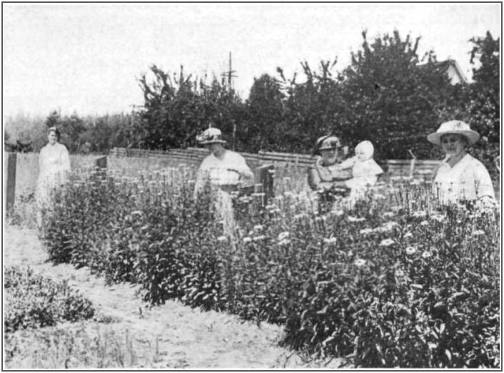 Mothers visiting a school garden