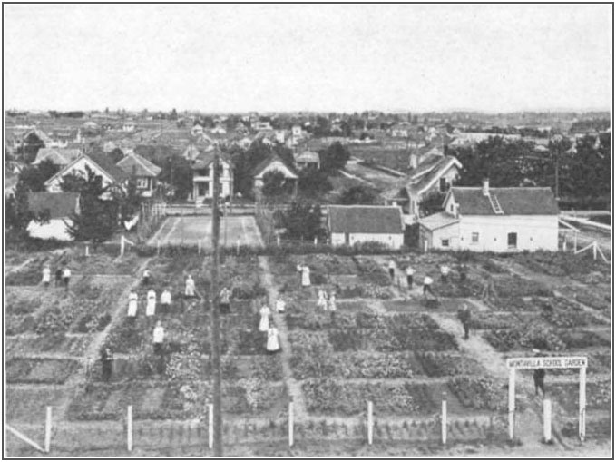 Montavilla School garden, Portland, Oregon