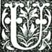 ORNAMENTAL CAPITAL 'U'