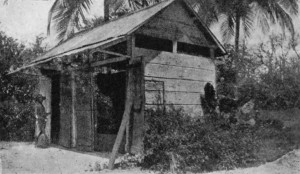 "SWEATING" BOXES, TRINIDAD. The man is holding the wooden spade used for turning the beans.