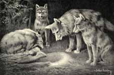 "OH, DON'T MENTION IT!" EXCLAIMED THE WOLF; "NO DOUBT WE SHALL FIND SOMETHING FOR DINNER PRESENTLY."