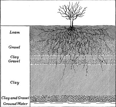 Fig. 19.