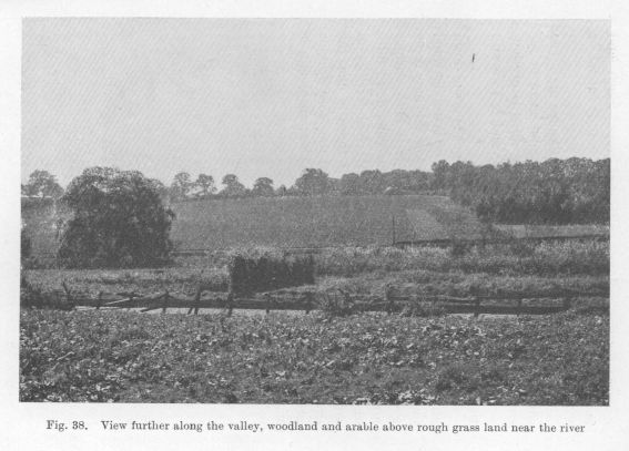 Fig. 38.  View further along the valley, woodland and arable above rough grass land near the river