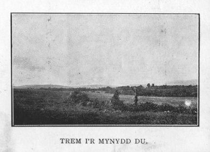 TREM I'R MYNYDD DU.