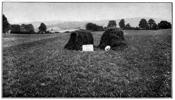 Clover and Timothy Unfertilized at the Pennsylvania Experiment Station Yielded 2460 Pounds per Acre