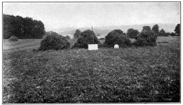 Clover and Timothy with Lime Alone at the Pennsylvania Experiment Station Yielded 4900 Pounds per Acre