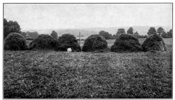 Clover and Timothy with Fertilizer and Lime at the Pennsylvania Experiment Station Yielded 6290 Pounds per Acre