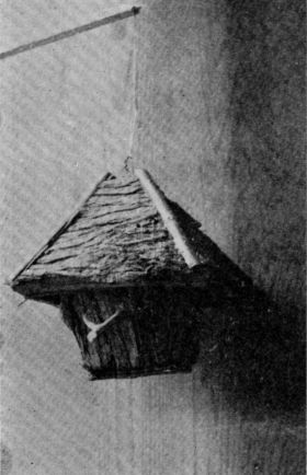 FIG. 34. A QUAINT BIRD HOME.