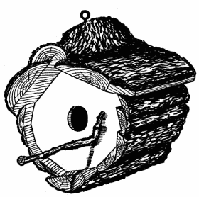 FIG. 35. A HOUSE OF CEDAR SLABS FOR JENNY WREN.