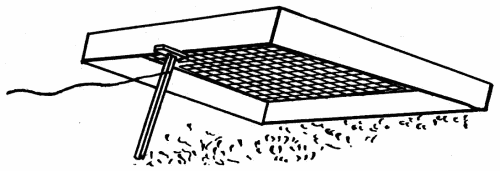 FIG. 65. (SPARROW TRAP)