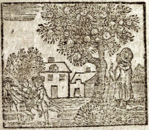 A house and a tree with a man standing under the tree