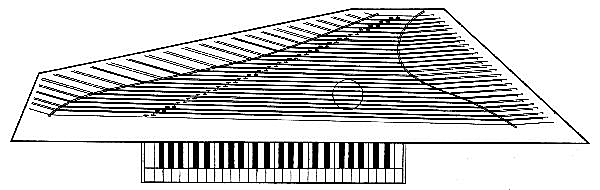 Figure 6.—Soundboard layout of polygonal virginal. Scale, 1:8.