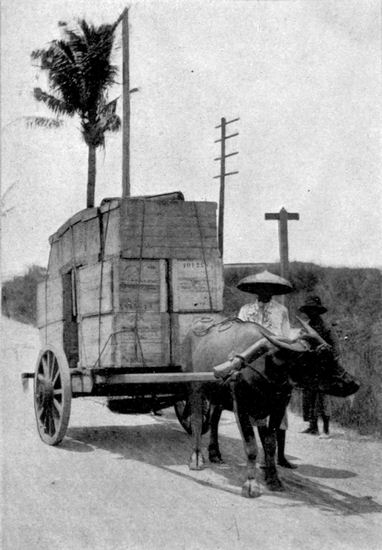 Carabao Cart