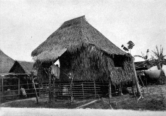 Nipa Hut