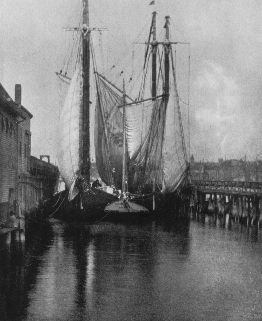 MOTHER CAREY'S CHICKENS COME HOME TO ROOST, By Herbert B. Turner, Boston, Mass.