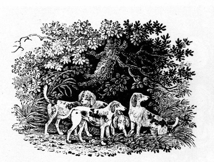 Figure 11.—Tailpiece by Thomas Bewick (actual size), engraved after a drawing by John Bewick, from The Chase, by William Somervile, 1796. (Photo courtesy the Library of Congress.)