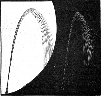 Fig. 41.