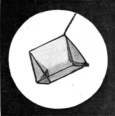 Fig. 50.