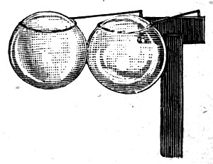 Fig. 64.