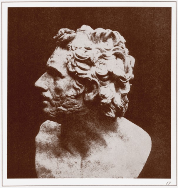 PLATE XVII. BUST OF PATROCLUS.