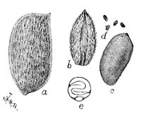 Fig 118.