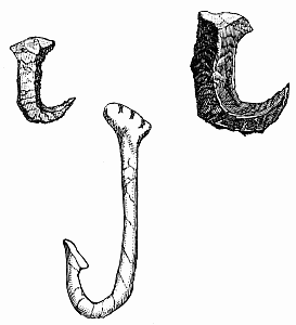 FISH-HOOKS