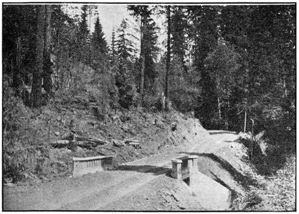 BRIDGE ON PASS CREEK—20 FT. SPAN. ON PACIFIC HIGHWAY NEAR COMSTOCK IN DOUGLAS COUNTY