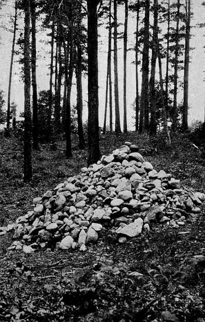 THE PILE OF STONES MARKING THE SITE OF THOREAU'S CABIN, BY WALDEN POND