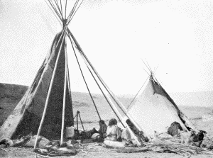 b. Crow camp at the old agency on the Yellowstone, near Shields River. Photograph by W. H. Jackson, 1871  CROW TIPIS