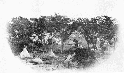 A CAMP IN A COTTONWOOD GROVE  Photograph not identified, but probably made by J. D. Hutton