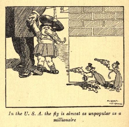 <I>In the U.S.A. the fly is almost as unpopular as a millionaire</I>