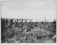 Photo: J. B. Tyrrell, July 19, 1893. WHOLDIAH LAKE AS SEEN FROM THE HILLS TO THE SOUTH