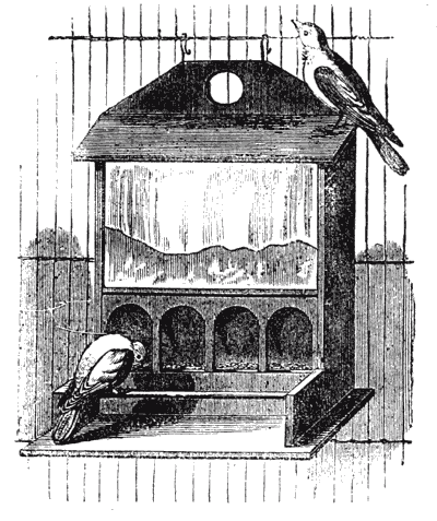 Feeding-box for small birds.