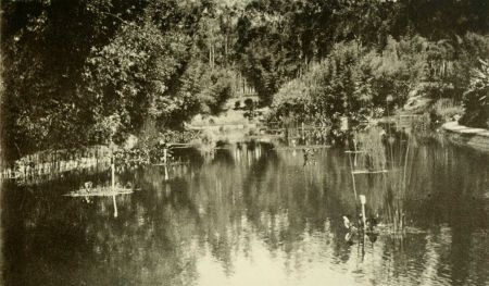 LAGO DEL PRADO