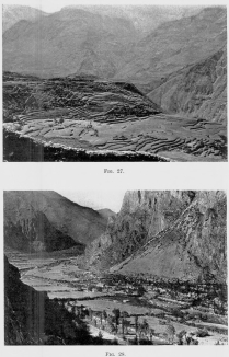 Fig. 27—Terraced valley slopes at Huaynacotas, Cotahuasi Valley, Peru. Elevation 11,500 feet (3,500 m.).