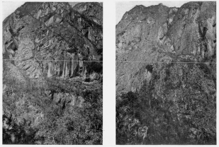 Fig. 144—Cliffed canyon wall in the Urubamba Valley between Huadquiña and Torontoy. There is a descent of nearly 2,000 feet shown in the photograph and it is developed almost wholly along successive joint planes.