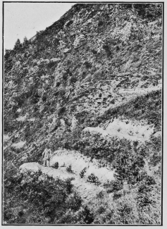 Terraces cut on the hill sides and planted with trees to prevent the fall of avalanches. To face p. 65.