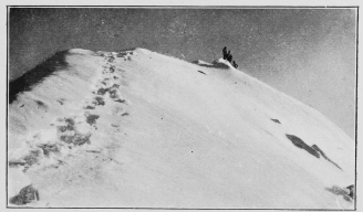 The summit of the Jungfrau. (P. 217.)  To face p. 235.