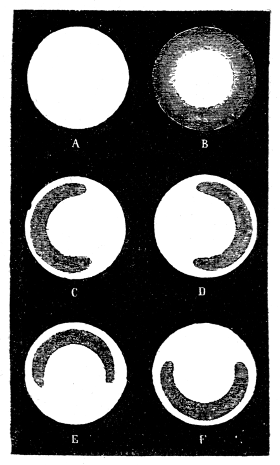 Fig. 16.