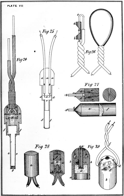 Plate VII