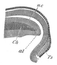 Illustration: Figure 27