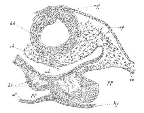 Illustration: Figure 110