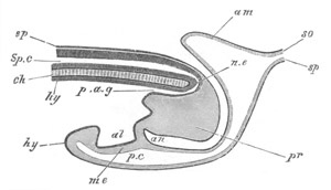 Illustration: Figure 124