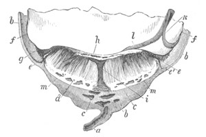 Illustration: Figure 149