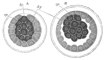 Illustration: Figure 178