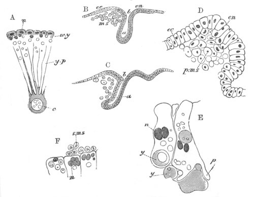 Illustration: Figure 208