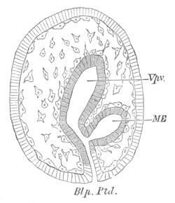 Illustration: Figure 210